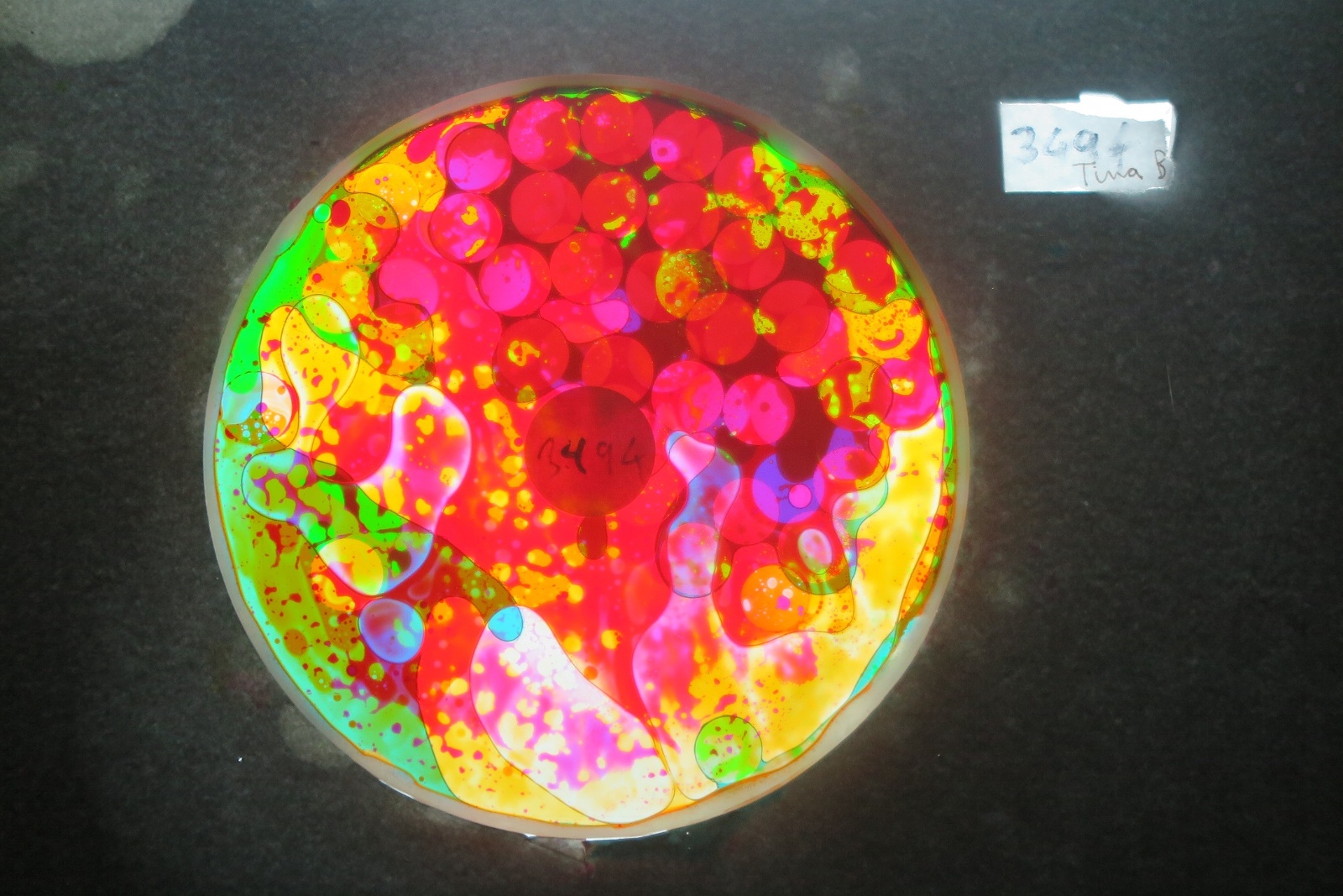 BV3494 bubble vision oil wheel